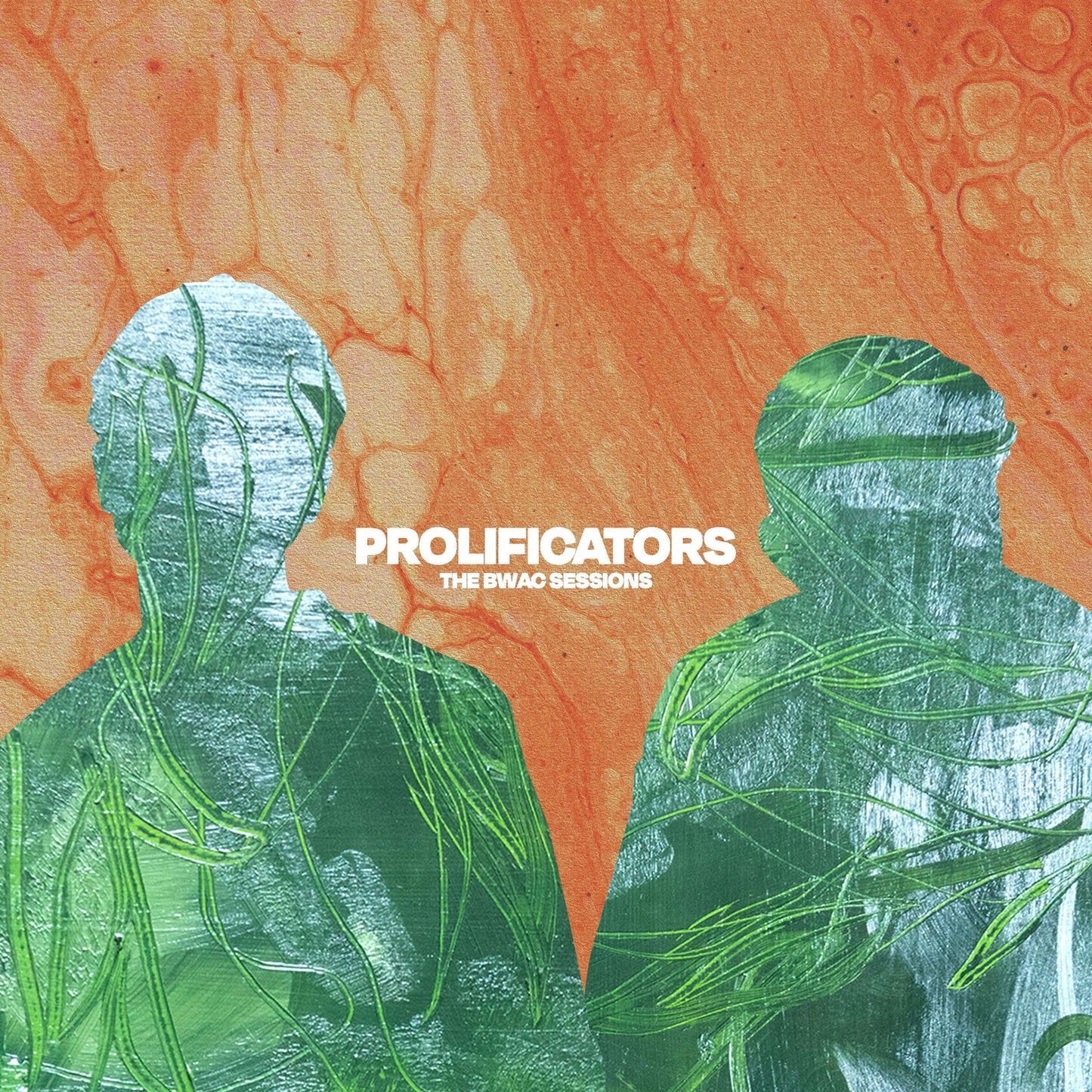 The BWAC Sessions by Prolificators
